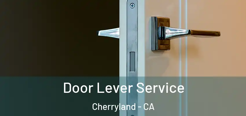 Door Lever Service Cherryland - CA