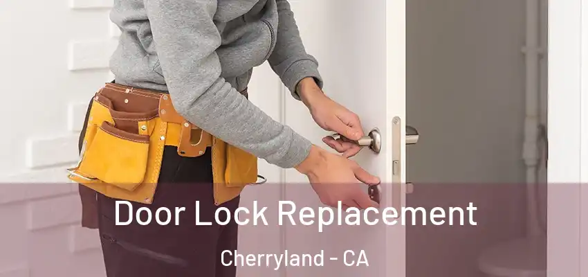  Door Lock Replacement Cherryland - CA