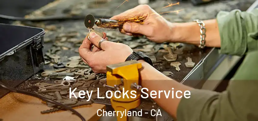  Key Locks Service Cherryland - CA